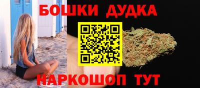 прущие грибы Новозыбков