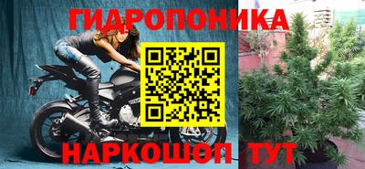 прущие грибы Новозыбков