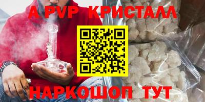 прущие грибы Новозыбков