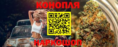 прущие крисы Новокубанск